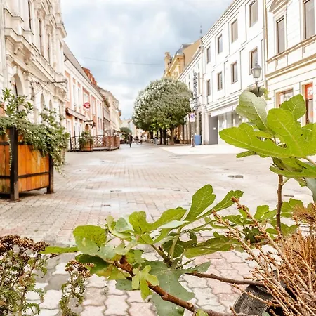 Apartament Kiraly40 Beci